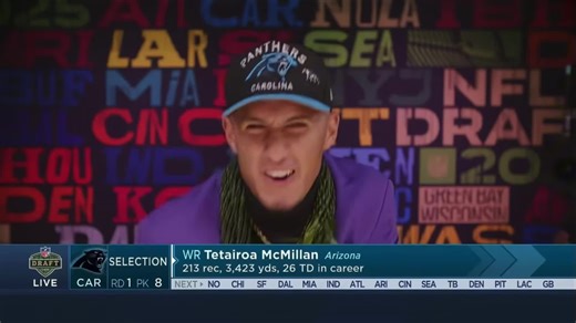 Ultimate Panthers Football Highlight Edit