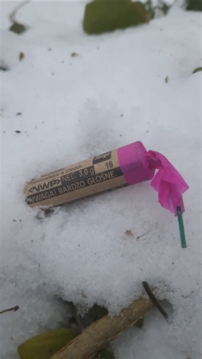 FP3 NWP 2015 #pyro #fireworks #shorts