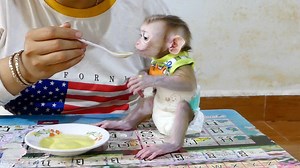 103K views · 9K reactions | Harry's Very Delicious Avocado Juice Mom Making With Mixer Blender For Him | Monkey Daily | Facebook