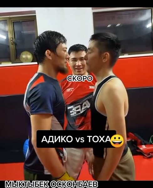 Ala Too Boxing League on TikTok