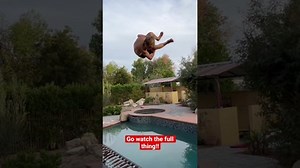 7.1K views · 78 reactions | Double flip into a pool!! | Nidal Vlogs | Facebook