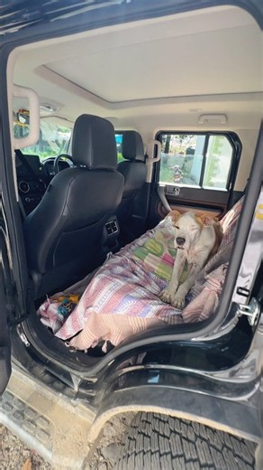 His Last Ride To The Hospital 😭🐕