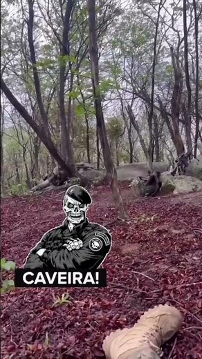 Media Caught Lying: Real Combat Footage Reveals the Truth