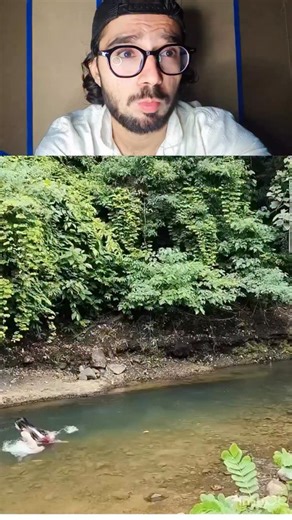 Toheed Mehrani on Instagram: "Bro was half dead 😭😂😭 Alcohol production primarily relies on fermentation, a biological process where yeast or bacteria convert sugars from grains, fruits, or vegetables into ethanol (alcohol) and carbon dioxide. For fermented drinks like beer and wine, the sugar source is prepared (mashing grains, crushing fruit), fermented with yeast, and then sometimes matured. For distilled spirits (whiskey, vodka), an extra step of distillation concentrates the ethanol by he