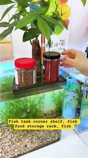 Fish tank corner shelf, fish food storage rack, fish #storage rack #shelf #aquariumstand