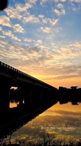 1.3M views · 16K reactions | Mi-e dor de mama... Autor Mihai Costea #dor #mama #poezie | Miere de albine - mănâncă sănătos | Facebook