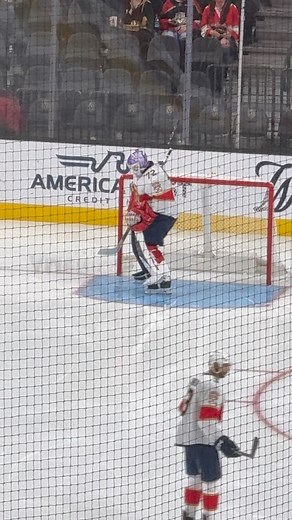 Was at the boy aquarium and saw this cute crab | Mandy Veith