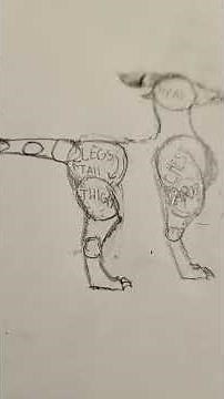 How to draw dragons and anatomy!🔥🔥❤️❤️
