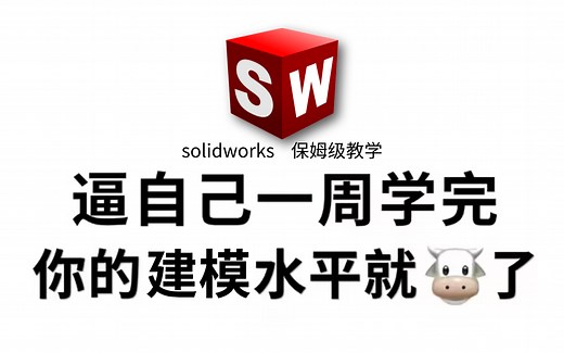【整整199集】机械大佬256小时讲完的solidworks建模教程，通俗易懂，SW建模实例教程讲解，全程干货无废话，这还学会，我退出SW建模圈！