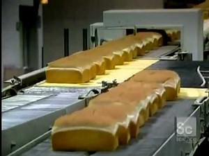How the Process Of Bread Making Occurs : HowiTOccurs