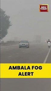Ambala Wakes Up to Thick Fog: IMD Forecasts Minimum Temperature of 11°C #ambala
