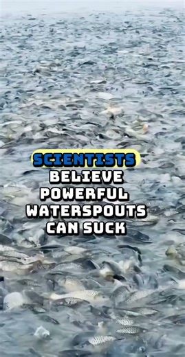 Yes, it has rained fish 🐟🌧️ One of the strangest weather events ever recorded. #shorts