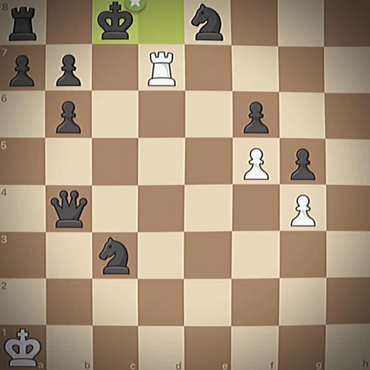 Chess Noobs on TikTok