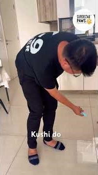 Welcome our little 3 months old multipoo puppy, Kushi to the Superstar Paws' family! #puppy