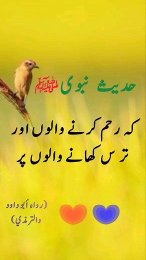 37K views · 1.8K reactions | ارحموا ترحموا | زمین والوں پر رحم کرو،...