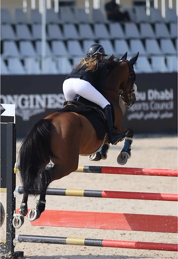 2025 CSI2* Show Jumping Competition Insights