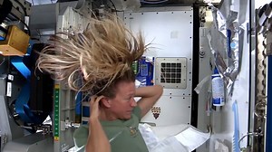 753 reactions · 260 shares | Today is the day when, in 1957, Laika...