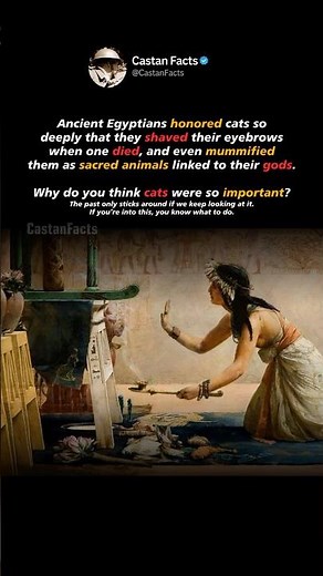 Why Ancient Egyptians Loved Cats So Much #history