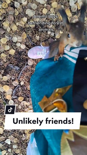 I got jumped probably close to five or six times by these squirrels 😂 We know Venti plays and sings for the forest animals so-- Talk about taking the role seriously! #cosplaytok #venticosplay #genshintok #genshinimpact #boundwisp @Rintintin