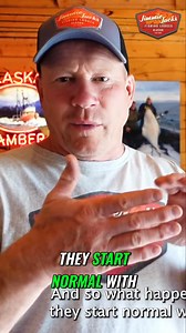 2.9K reactions · 143 shares | Explore the amazing camouflage and...