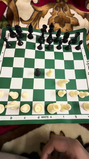 #chesspuzzle #chessbeginner #chessopenings #chesstactics #chessstrategy #chessopeningsforbeginners