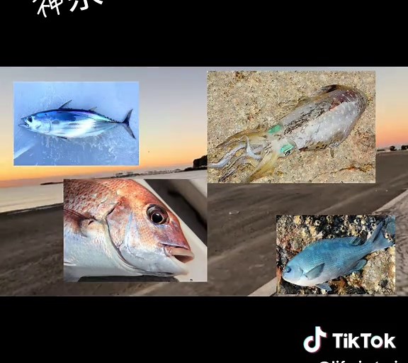 神奈川の最強釣りスポット3選