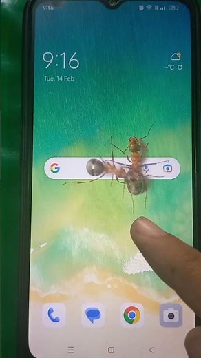 Ants on Screen joke