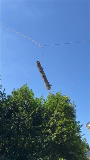 Acorn tree & shrubs services LLC #treeremoval #treeservice #Raleigh #arborist