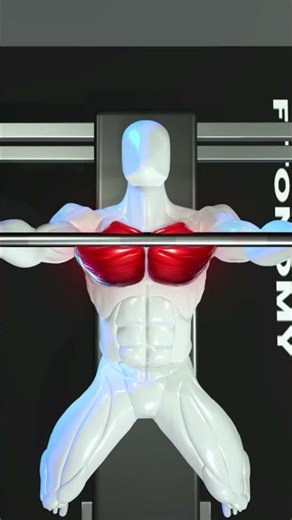 This hidden muscle changes how your chest looks.