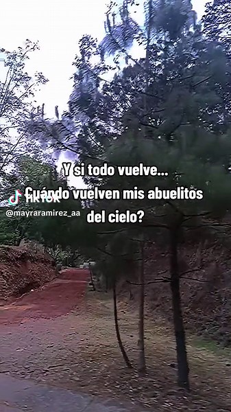 Ellos cuándo vuelven? 🥹 #2024 #viral #tiktok #humbe #fantasmas