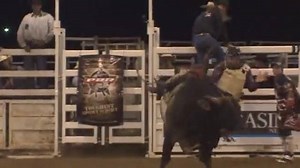 30K views · 403 shares | Highlights from the Rural Weekly Live Series in Dalby. | PBR Australia | Facebook