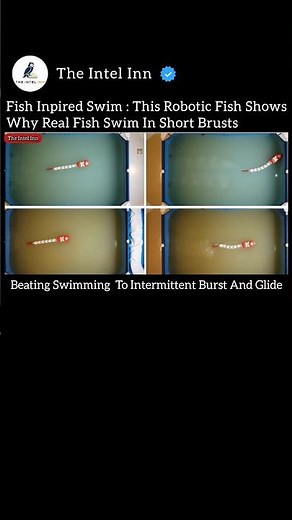 Fish Inpired Swim: This Robotic Fish Show Why Real Fish Swim In Short Brust!🤖 #Robotics #Bioinspired