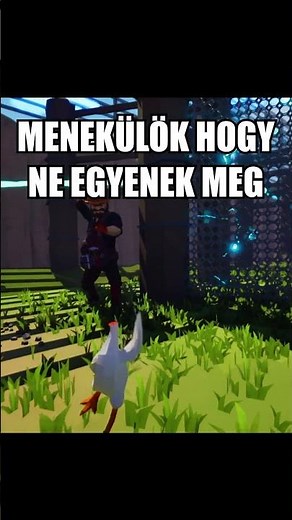 EGY FEJ NÉLKÜLI CSIRKE VAGYOK ÉS MENEKÜLÖK AZ ÉLETEMÉRT | Mark The Headless Chicken