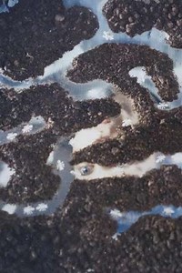 Amazing Grace - Movie