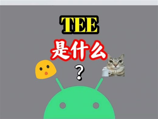 TEE是什么？TEE到底有什么用？这期视频用最通俗易懂的语言带你了解tee的作用与工作方式