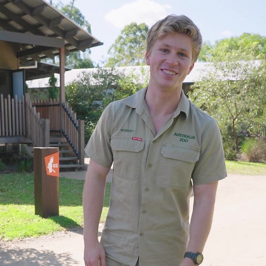 1.4K views · 425 reactions | Experience the wild side of luxury at...