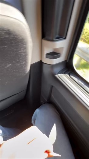 Maken.io - By Mystic Marrows on Instagram: "Create all the videos you want with maken.io Start creating for free on maken.io (link in bio) Dm: ‘maken’ for a discount code! #usa #dog #cat #yosemite #texas #california #motor #cheese"