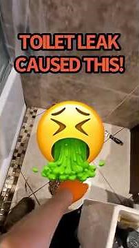 Toilet leaking from base with a nasty surprise! #service #plumbing #explained #fail #fails