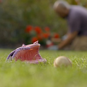 2.6K views · 13 reactions | Set your lawn up for greener days this fall with Vigoro grass seed and fertilizer. | The Home Depot | Facebook