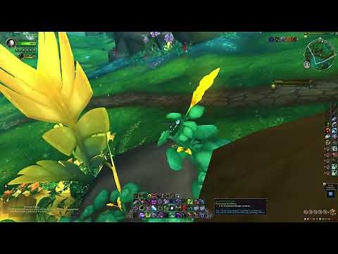 Enchanted Shrubbery, WoW Dragonflight 10.2 Enchanting Quest