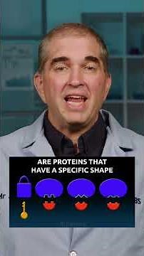 Does the Study of Genetics Confirm Evolution or Creation?