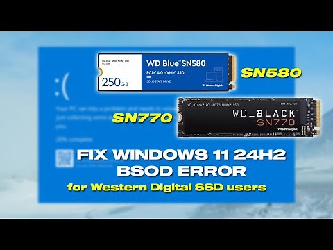 Fix Windows 11 24H2 BSOD Error For Users Of Western Digital SSD Drives [WD SN580/ SN770]