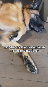 1.5K views · 10K reactions | There was no manual and I had no idea...