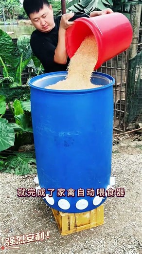 Automatic Poultry Feeder | Smart Feeding for Chickens, Ducks & Geese