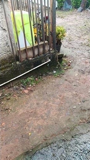 penampakan hantu nyata 👻😱#penampakan