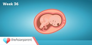 Week 36: Week by week pregnancy guide for Asian mothers | theAsianparent Philippines