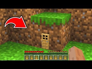 Minecraft , BUT I Can Enter BLOCKS