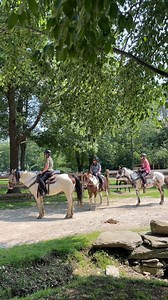 Join us on an epic adventure this Sunday, led by our host Rachel Holt! In our next episode, Rachel explores Rockport’s Thacher Island, visits a horseback riding ranch in Princeton, and goes birding on the Great Marsh. Love the place you call home with New England Living. Sunday at 11:30am on WBZ-TV. Presented by the partners of 7 Tide: Clarke, Marvin & Kohler Signature Store. #newengland #newenglandliving #rockportma #princetonma #rumneynh WBZ / CBS News Boston | Clarke Appliance Showrooms | 7 T