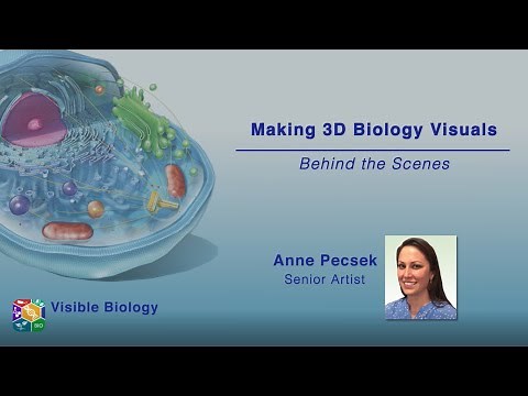 Making 3D Biology Visuals: Behind the Scenes