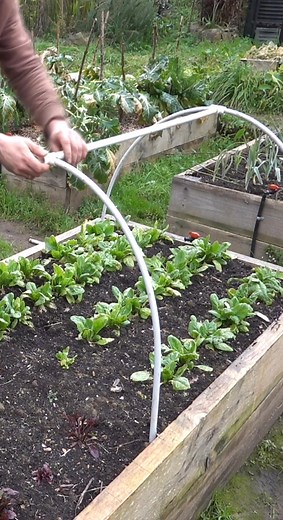 Cómo hacer un mini invernadero de PVC en 10 minutos